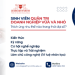 Ngành Quản trị doanh nghiệp vừa và nhỏ học gì?