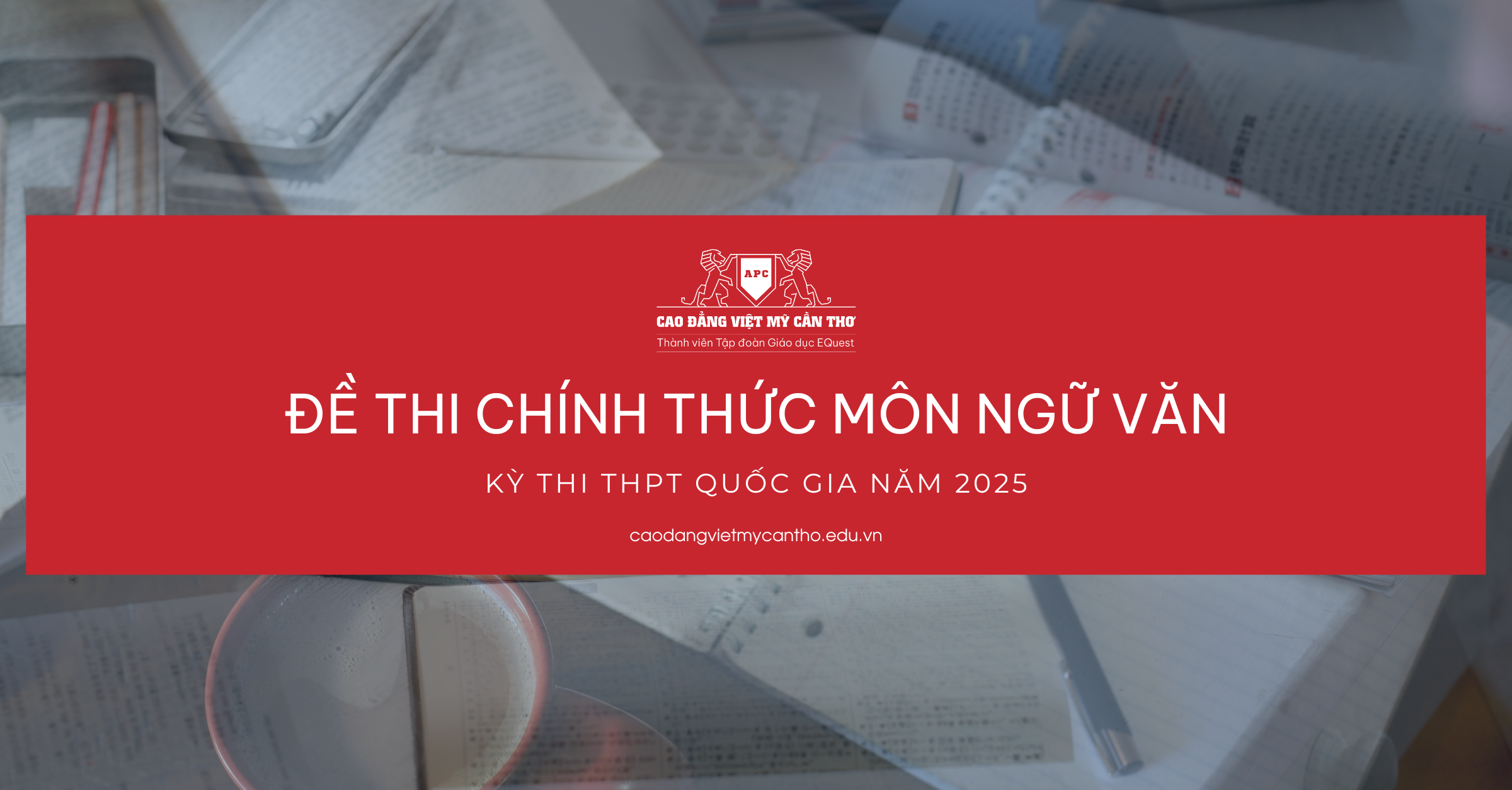 de-thi-chinh-thuc-thpt-mon-van-2025