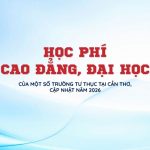 hoc-phi-cao-dang-dai-hoc-o-can-tho-nam-2026